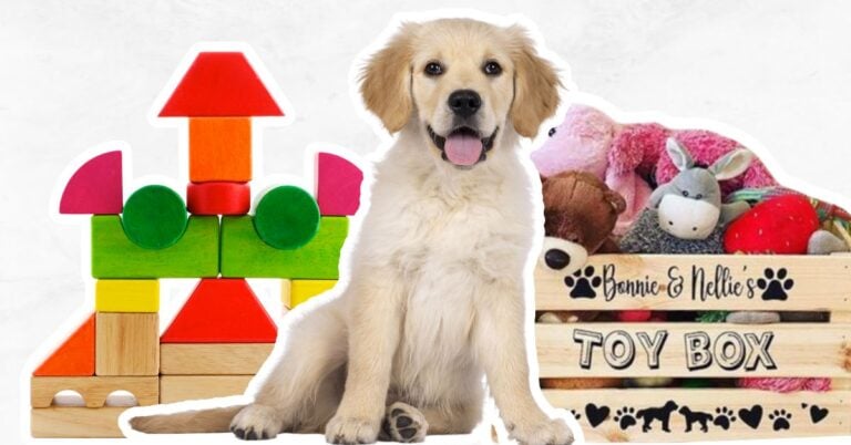 Wooden toys and dog toy box with a Golden Retriever.
